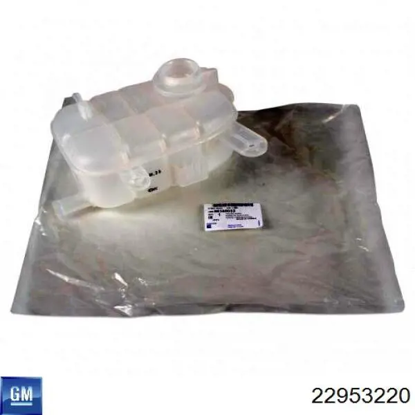 22953220 General Motors Zbiorniczek wyrównawczy układu chłodzenia