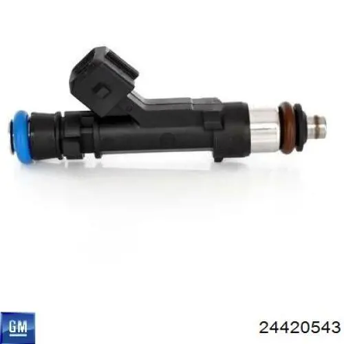 Do koszyka 24420543 General Motors Wtryskiwacz paliwa