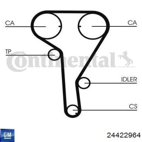 24422964 General Motors pasek rozrządu