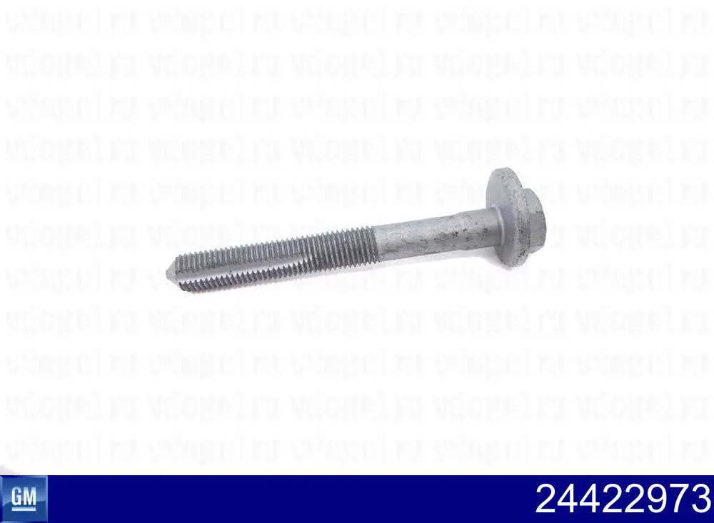 24422973 General Motors Śruba regulacji tylnego wahacza (dla zbieżności), wewnętrzny