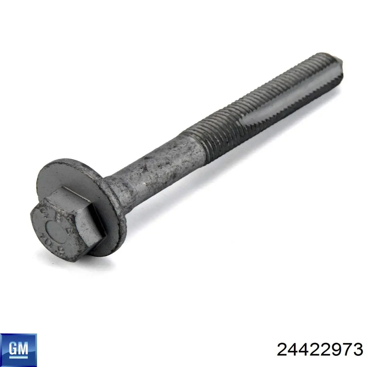 Do koszyka 24422973 General Motors Śruba regulacji tylnego wahacza (dla zbieżności), wewnętrzny