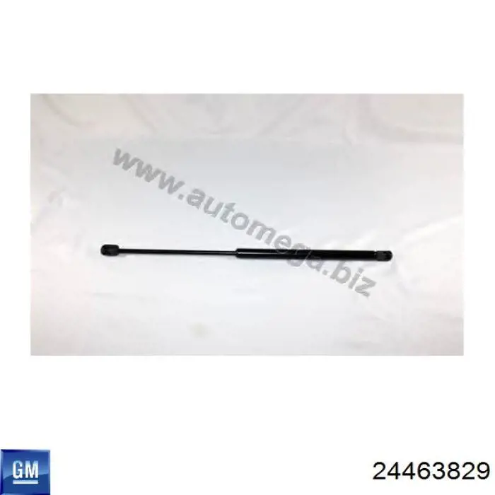 Amortyzator klapy bagażnika (3/5 drzwi-tylnych) 24463829 General Motors