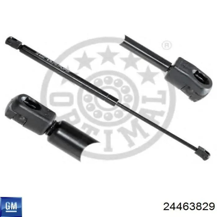 Amortyzator klapy bagażnika (3/5 drzwi-tylnych) 24463829 General Motors