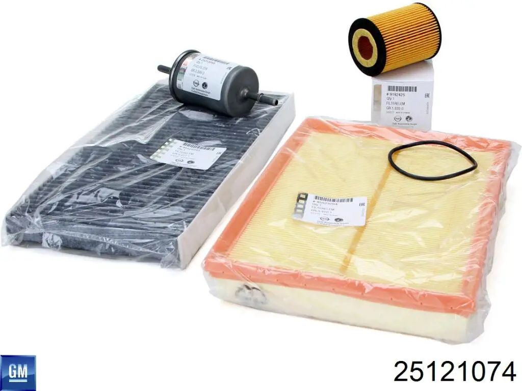 Filtr paliwa 25121074 General Motors