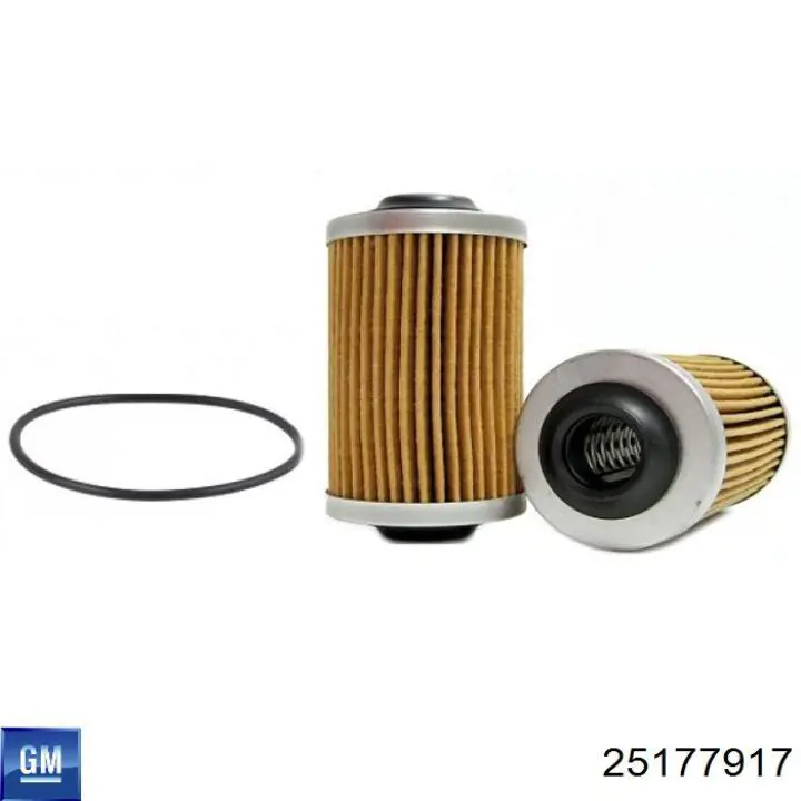 General Motors 25177917