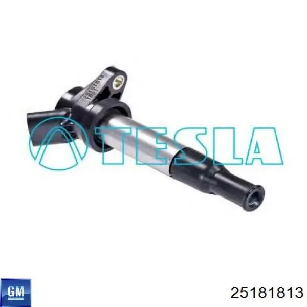 Do koszyka 25181813 General Motors Cewka zapłonowa