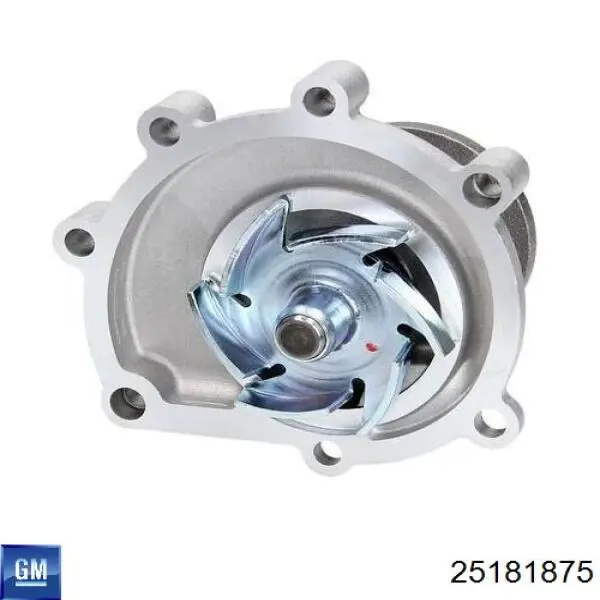 Do koszyka 25181875 General Motors Pompa chłodząca wodna