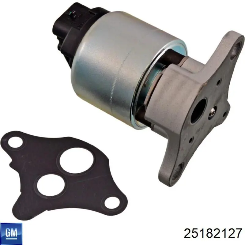 Do koszyka 25182127 General Motors Zawór recyrkulacji spalin EGR