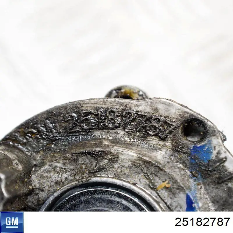 Do koszyka 25182787 General Motors Napinacz paska napędowego