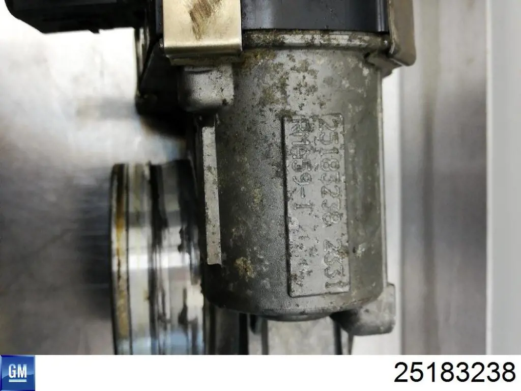 25183238 General Motors Przepustnica, komplet