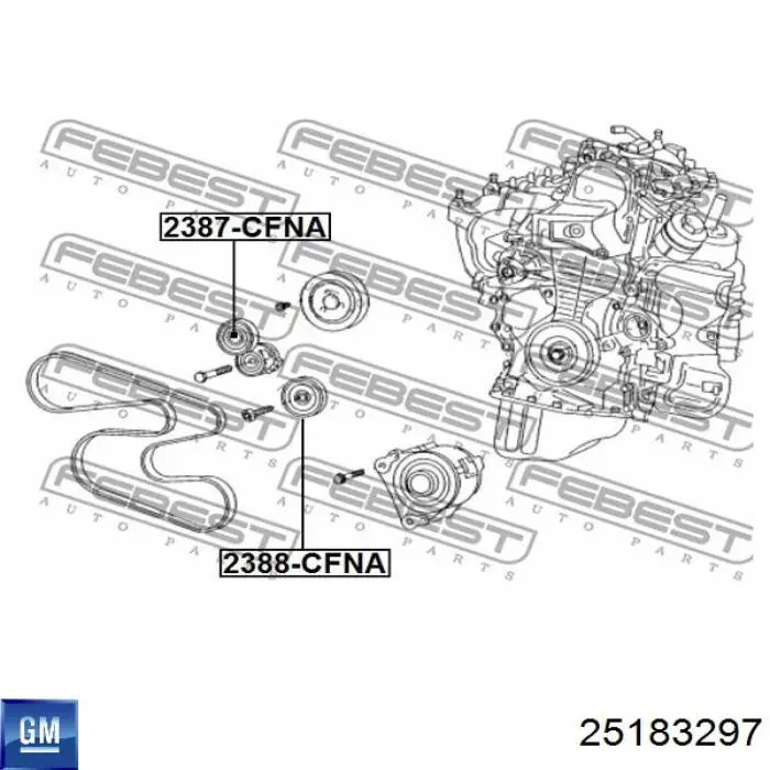25183297 General Motors Napinacz paska napędowego