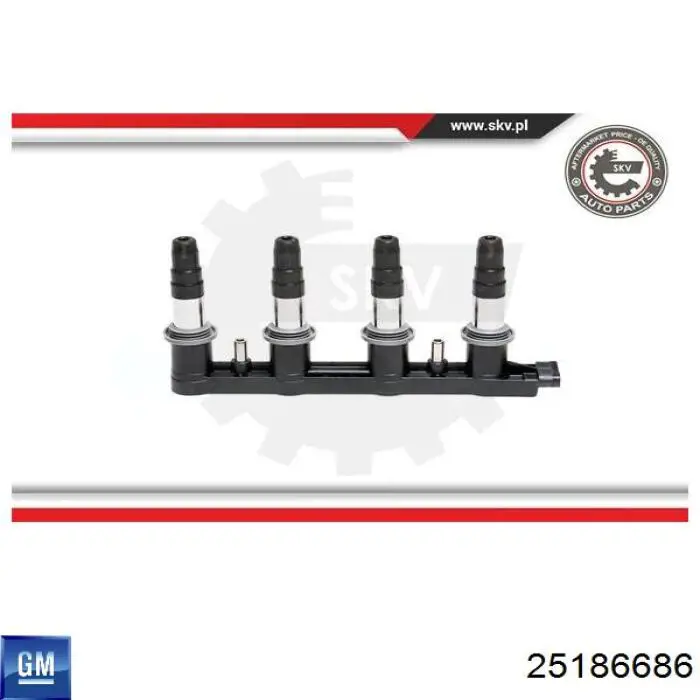 Cewka zapłonowa 25186686 General Motors