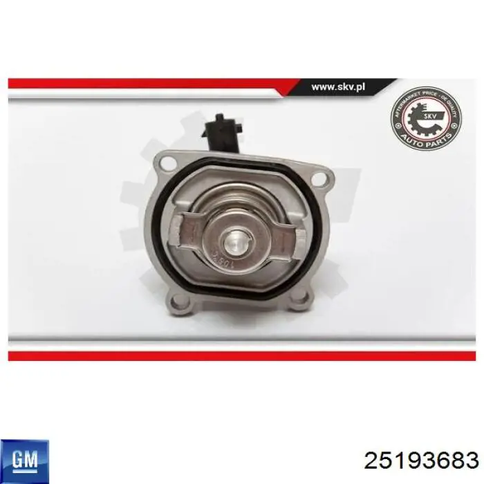 Termostat General Motors 25193683 cena, od 39,13 USD