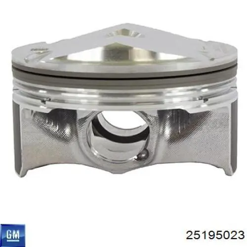 Tłok, komplet do jednego cylindru, STD do Ford Escort V GAL