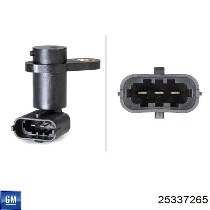 Czujnik położenia wałka rozrządu General Motors 25337265 cena, od  
