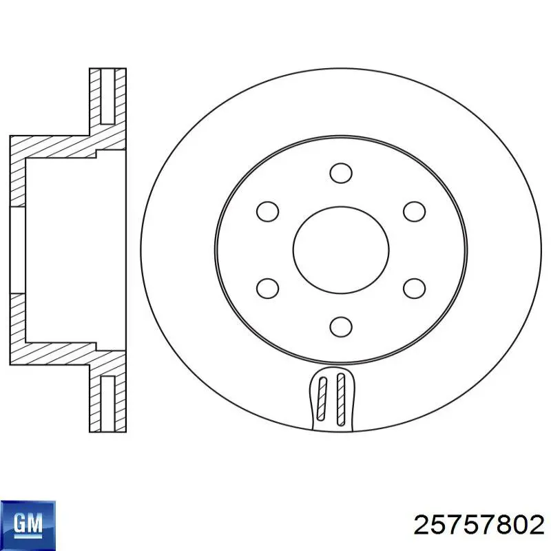Do koszyka 25757802 General Motors Tarcza hamulcowa tylna