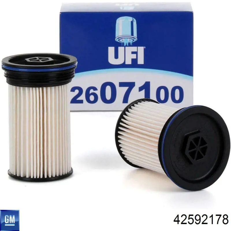 Filtr paliwa General Motors 42592178 cena, od 21,81 USD