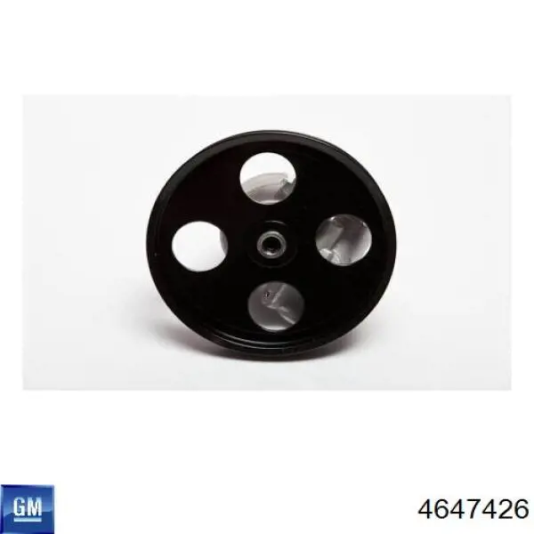  General Motors 4647426