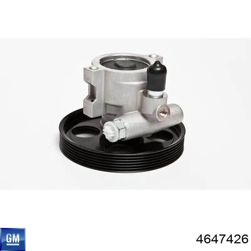 Pompa wspomagania hydraulicznego kierownicy 4647426 General Motors