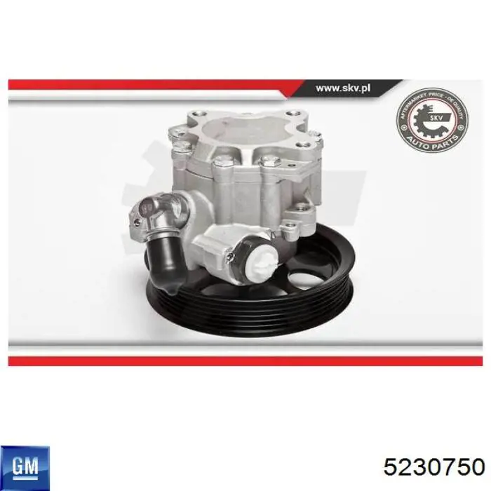 Pompa wspomagania hydraulicznego kierownicy 5230750 General Motors