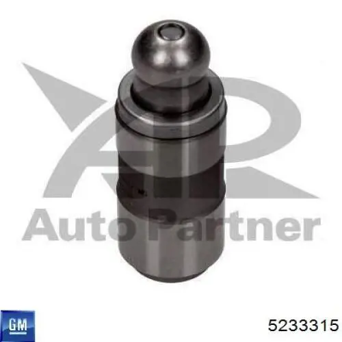 Kompensator hydrauliczny (popychacz hydrauliczny), popychacz zaworu General Motors 5233315 cena, od 6,82 USD