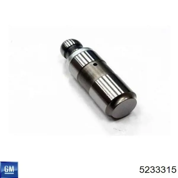 Kompensator hydrauliczny (popychacz hydrauliczny), popychacz zaworu General Motors 5233315