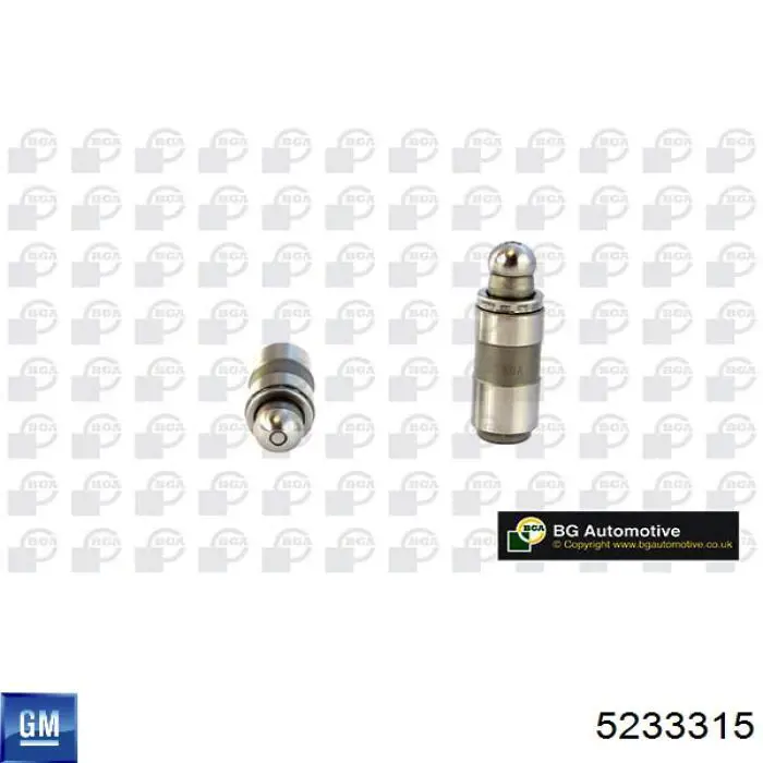 Kompensator hydrauliczny (popychacz hydrauliczny), popychacz zaworu General Motors 5233315 cena, od 6,82 USD