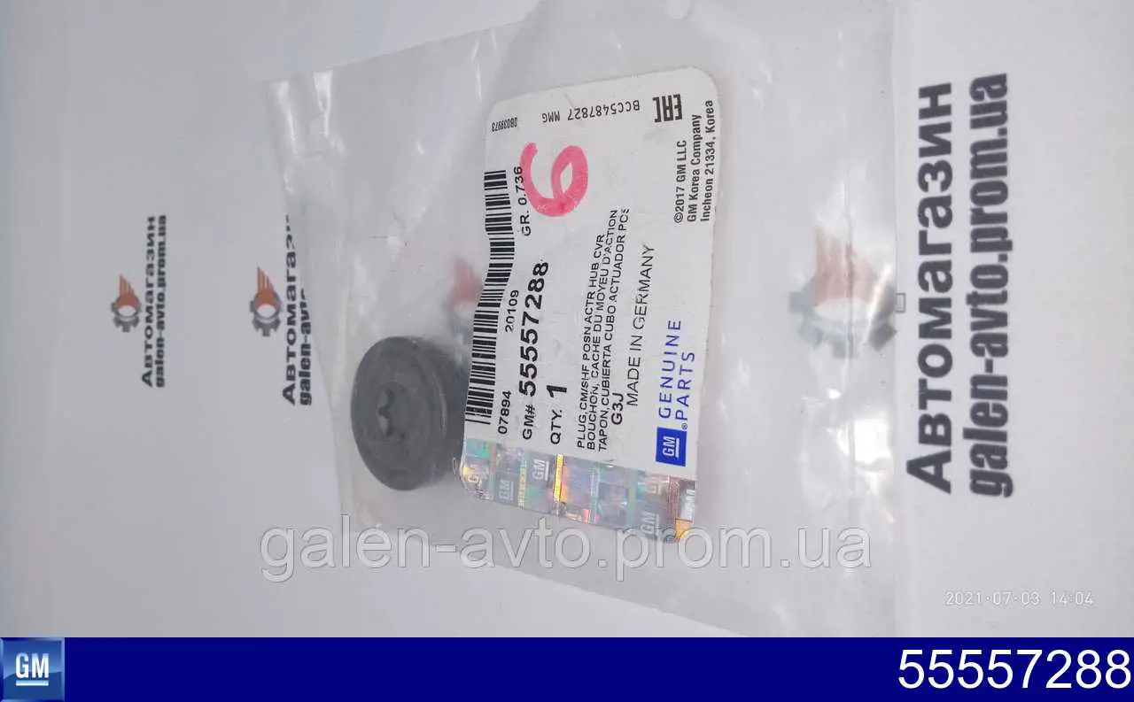 55557288 General Motors Zaślepka głowicy cylindrów/bloku cylindrów