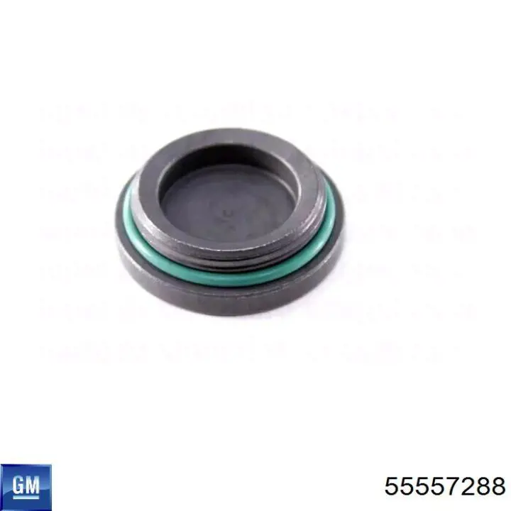 Zaślepka głowicy cylindrów/bloku cylindrów General Motors 55557288 cena, od 6,45 USD