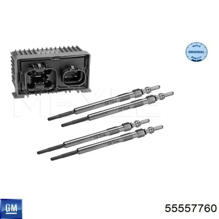  General Motors 55557760