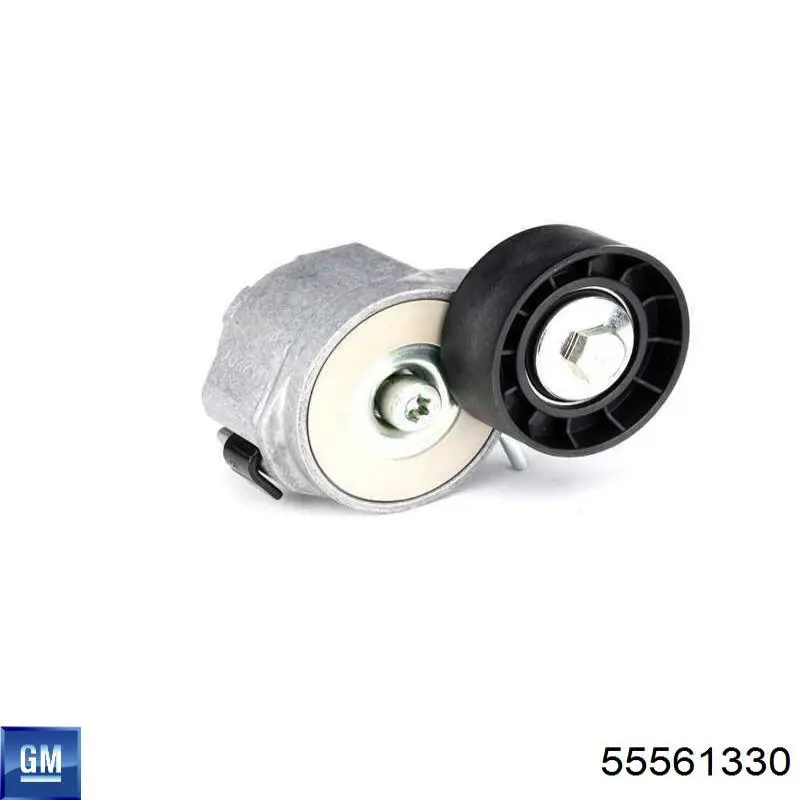 Do koszyka 55561330 General Motors Napinacz paska napędowego