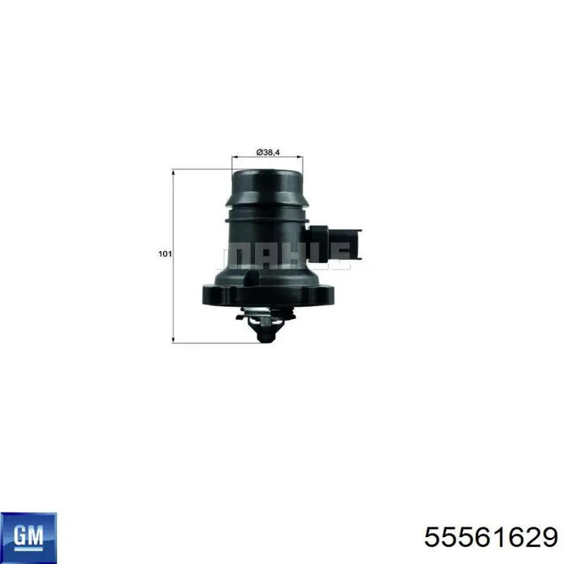 55561629 General Motors Termostat