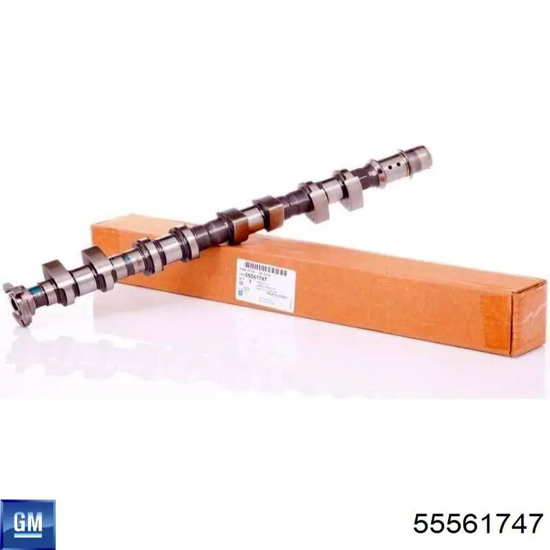 Wał rozrządu silnika ssący, dolotowy FAI C365 cena, od 148,52 USD