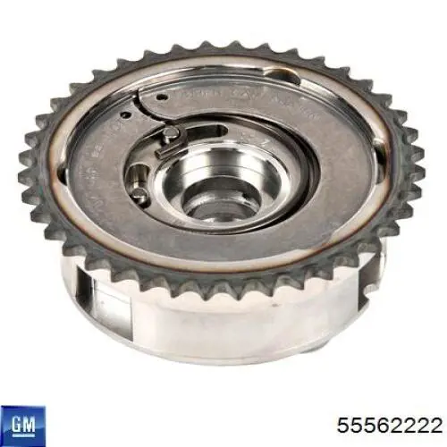 Koło zębatewalcowe wałka rozrządu silnika General Motors 55562222 cena, od 97,43 USD