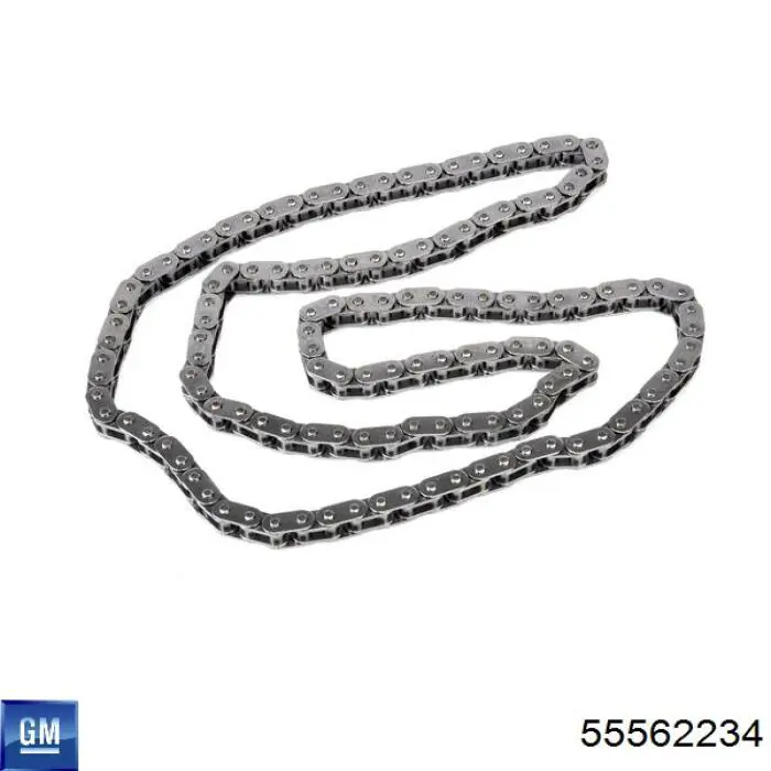 Łańcuch rozrządu General Motors 55562234