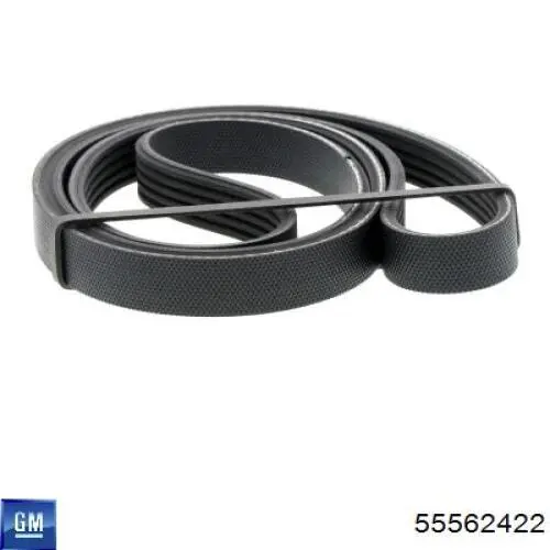 Pas napędowy mechanizmów General Motors 55562422 cena, od 10,31 USD