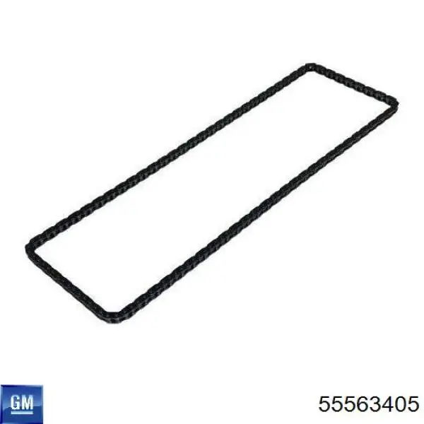 Łańcuch rozrządu wału wyrównoważającego General Motors 55563405