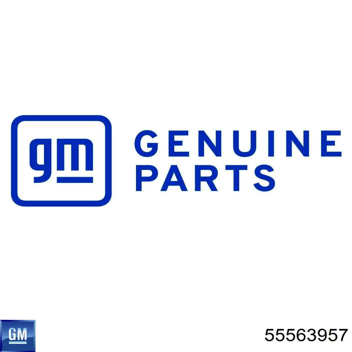 Zawór ograniczаnia ciśnienia oleju w głowicy cylindrów General Motors 55563957 cena, od 8,70 USD