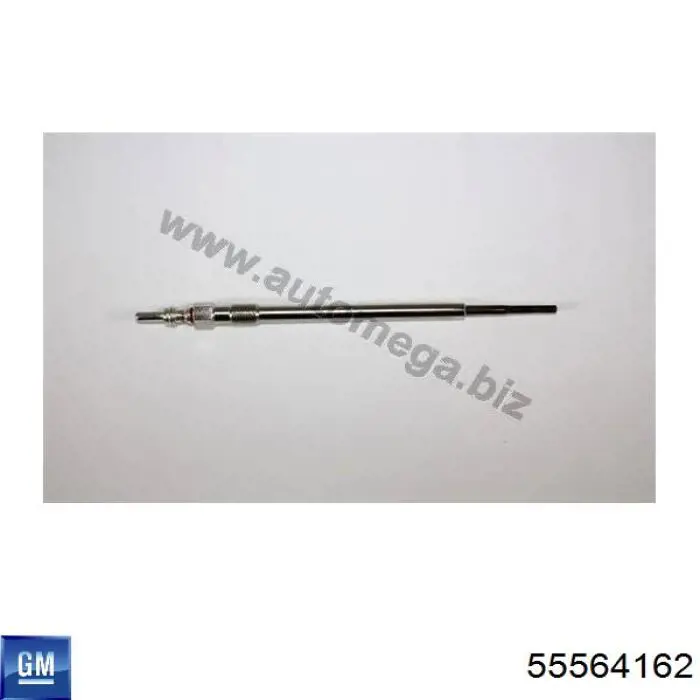 Do koszyka 55564162 General Motors Świeca żarowa