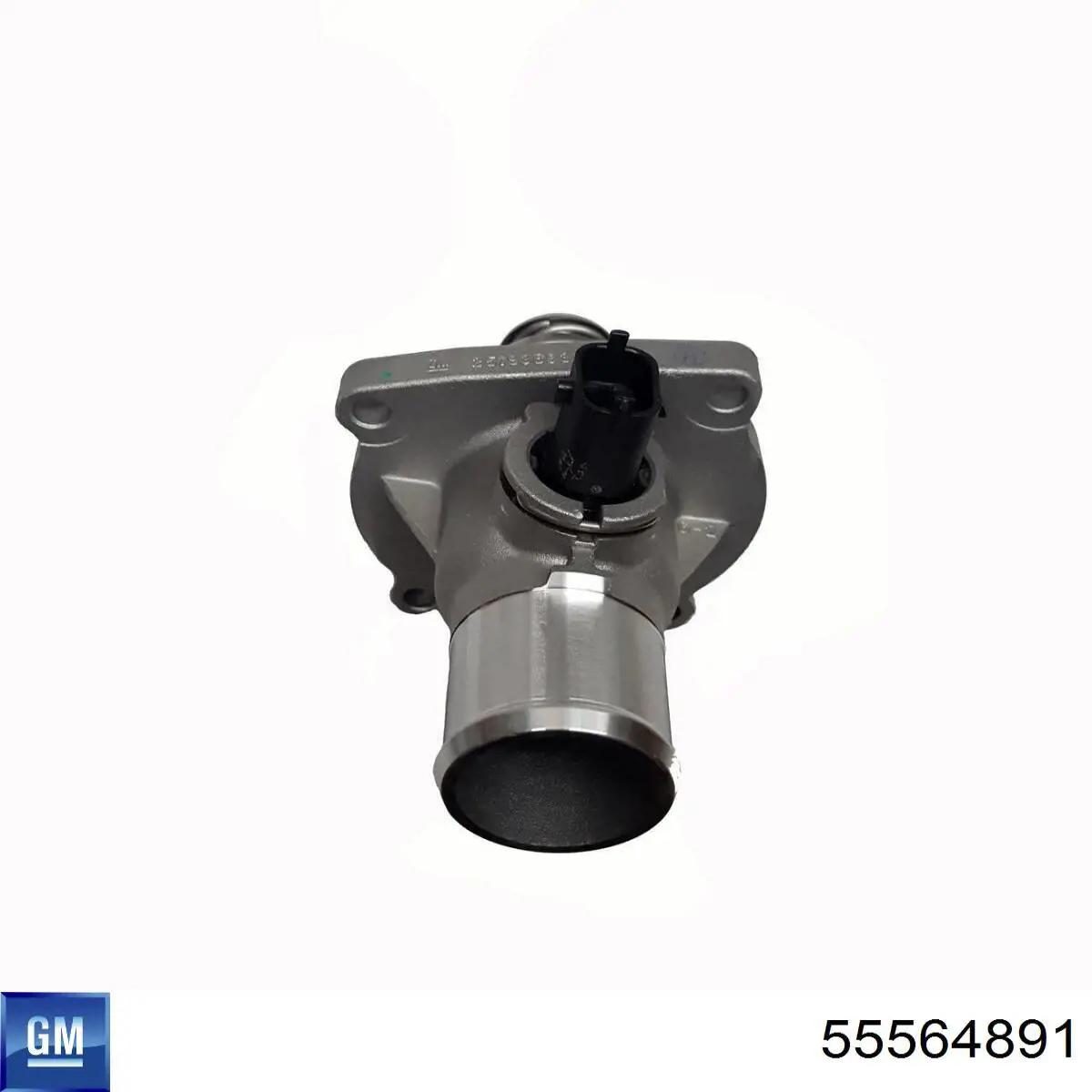 Termostat 55564891 General Motors