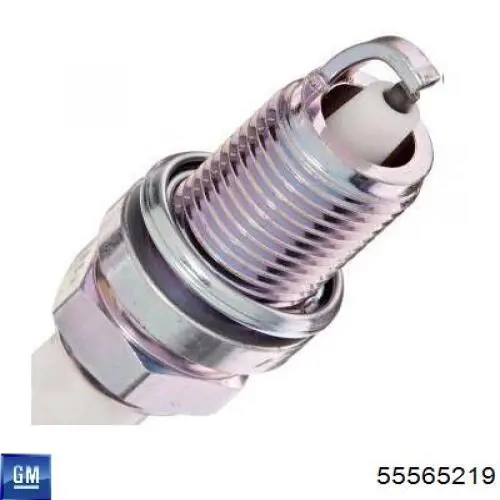 Do koszyka 55565219 General Motors Świeca zapłonowa