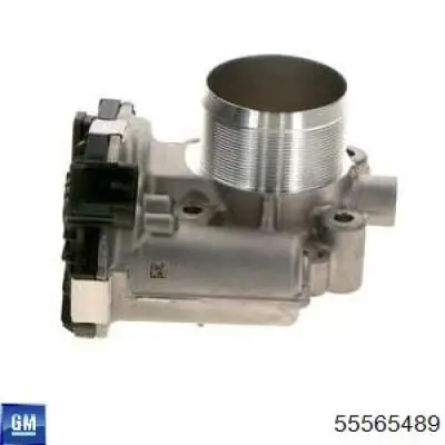 55565489 General Motors Przepustnica, komplet
