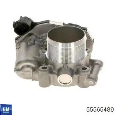 55565489 General Motors Przepustnica, komplet