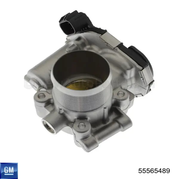 Do koszyka 55565489 General Motors Przepustnica, komplet