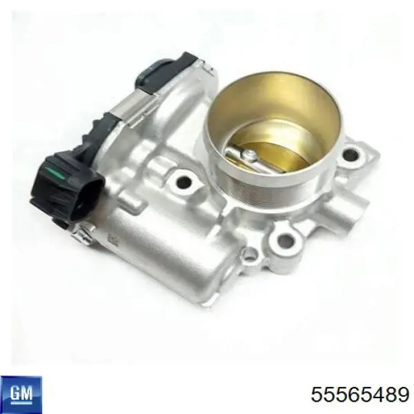 Przepustnica, komplet General Motors 55565489