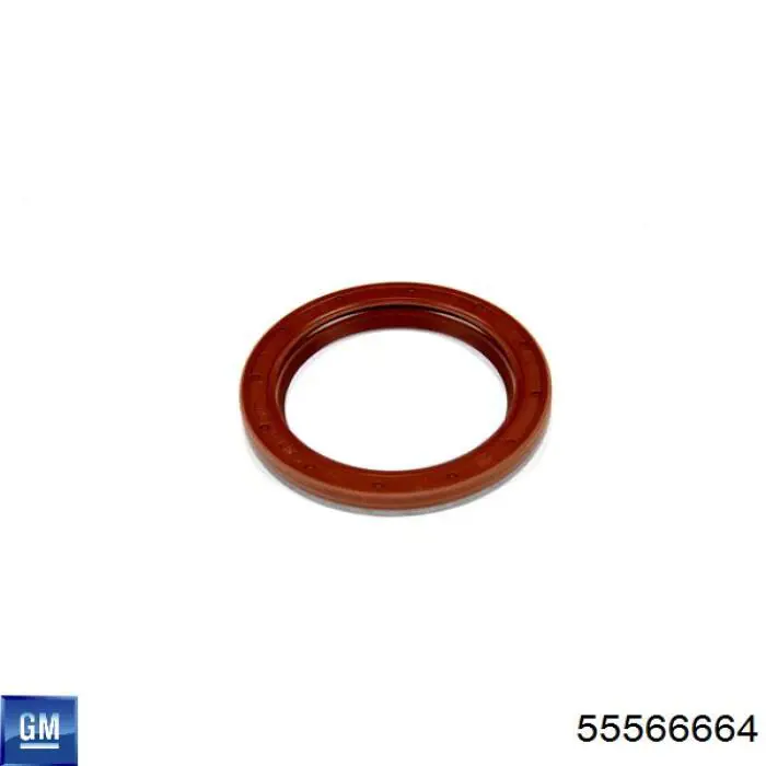 Uszczelka kolektora ssącego General Motors 55566664 cena, od 21,52 USD
