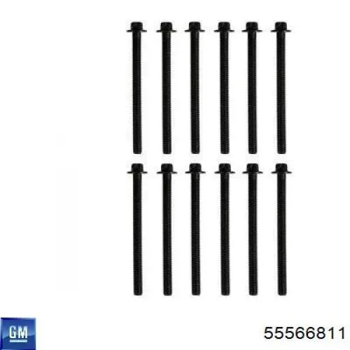 Śruba głowicy cylindrów General Motors 55566811 cena, od 7,69 USD