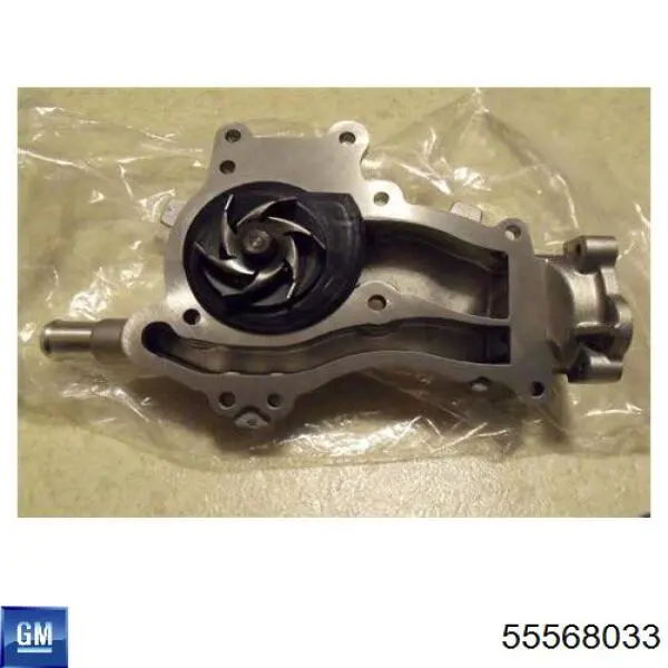 55568033 General Motors Uszczelka pompy wodnej