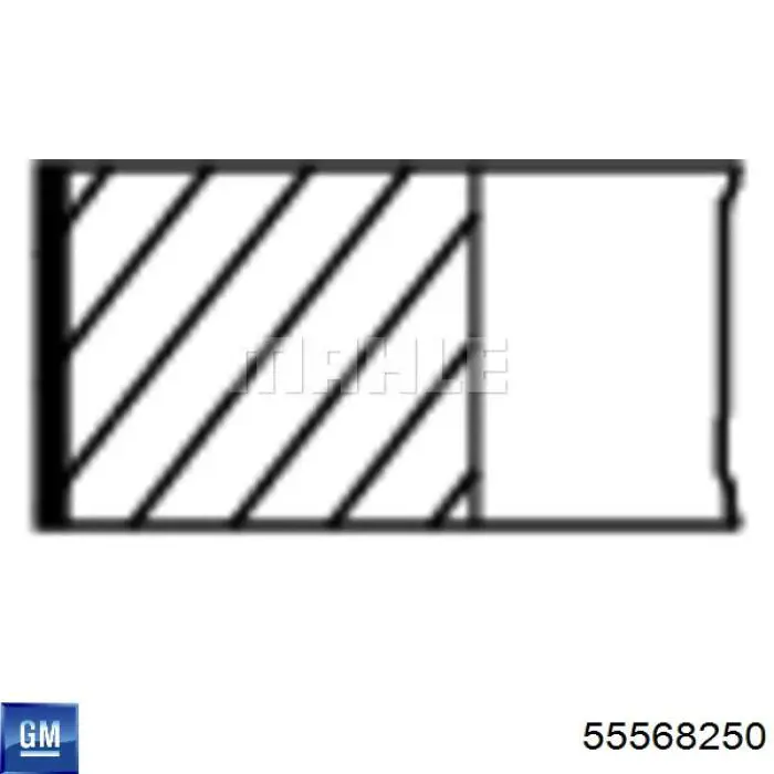 55568250 General Motors pierścienie tłokowe na 1 cylinder, std.