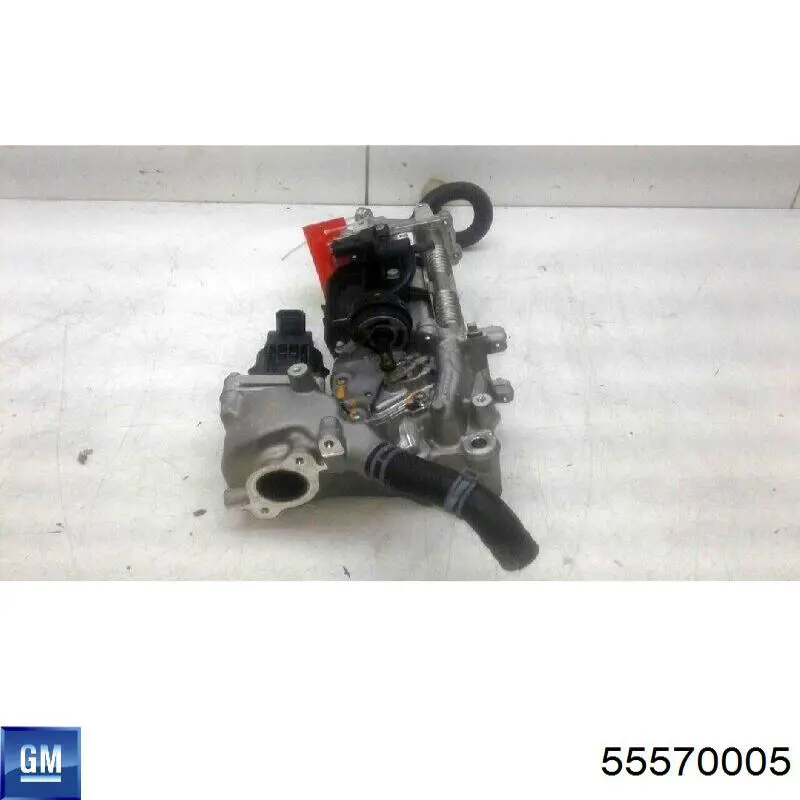 Zawór recyrkulacji spalin EGR General Motors 55570005 cena, od 133,08 USD